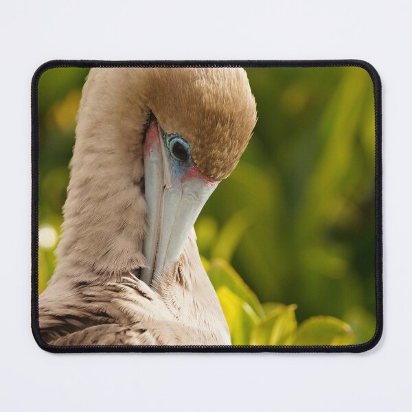 Item preview, Red Footed Booby Portrait designed and sold by acwb.