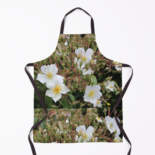 Item preview, Common Medlar, Mespilus germanica, designed and sold by pinkal.
