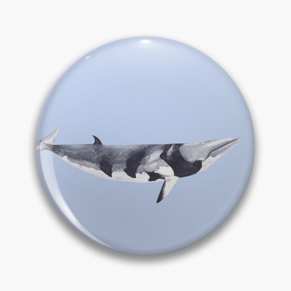 Item preview, MINKE WHALE-Balaenoptera acutorostrata designed and sold by BEATRIZ ABAITUA.