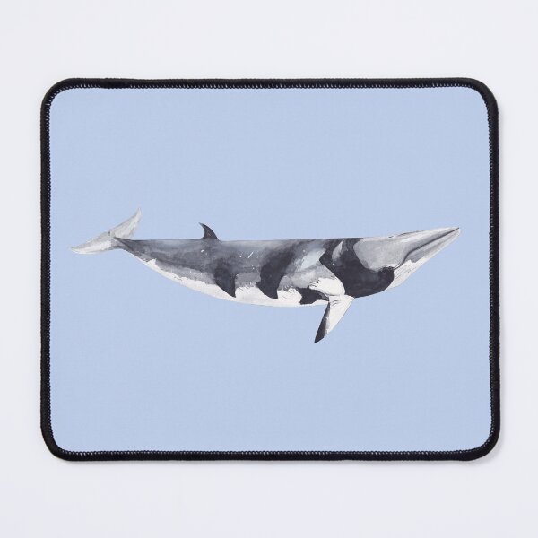 Item preview, MINKE WHALE-Balaenoptera acutorostrata designed and sold by BEATRIZ ABAITUA.
