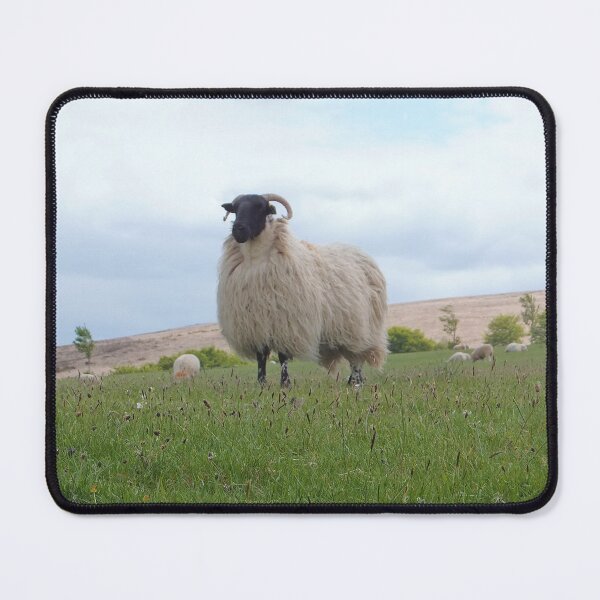 Item preview, Blackface Sheep designed and sold by pinkal.
