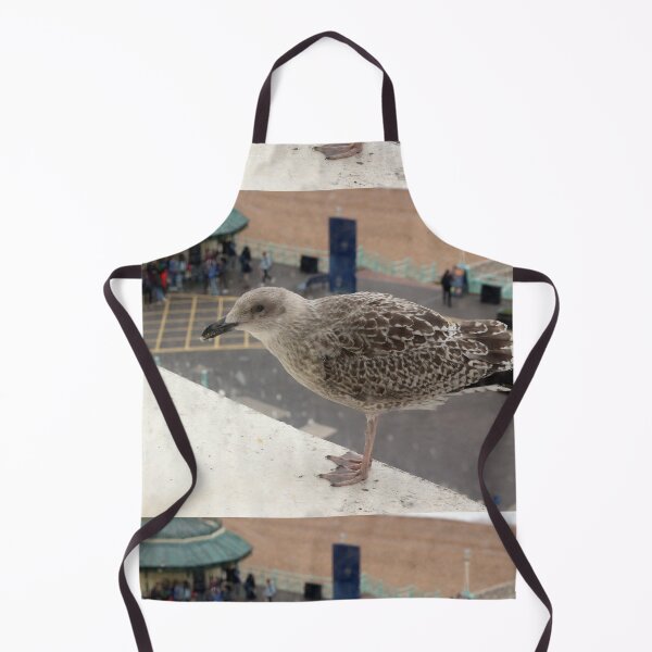 Item preview, Seagull begging designed and sold by pinkal.