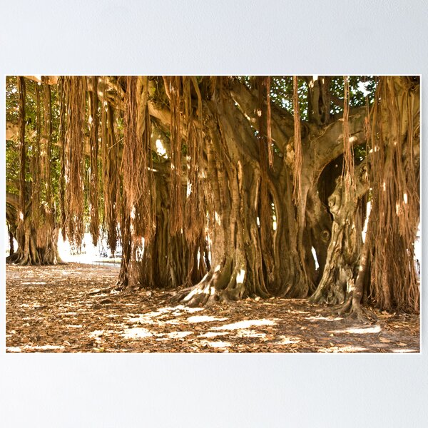 Item preview, Under the Banyan Tree designed and sold by Kent Burton.