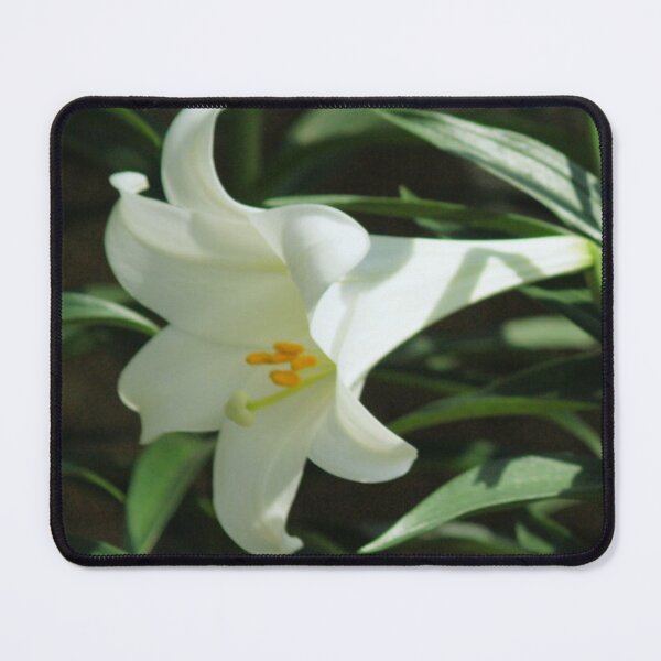 Item preview, Delicate White Lily Amongst Greenery designed and sold by CountyKent.