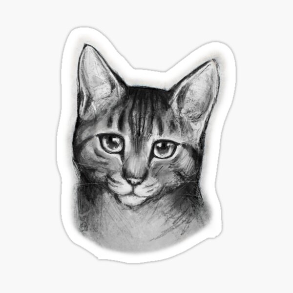 Item preview, Bubo - Cat Portrait designed and sold by Laura Cavus Illustrations.