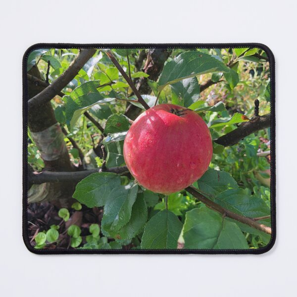 Item preview, big red apple on a branch designed and sold by mrivserg.