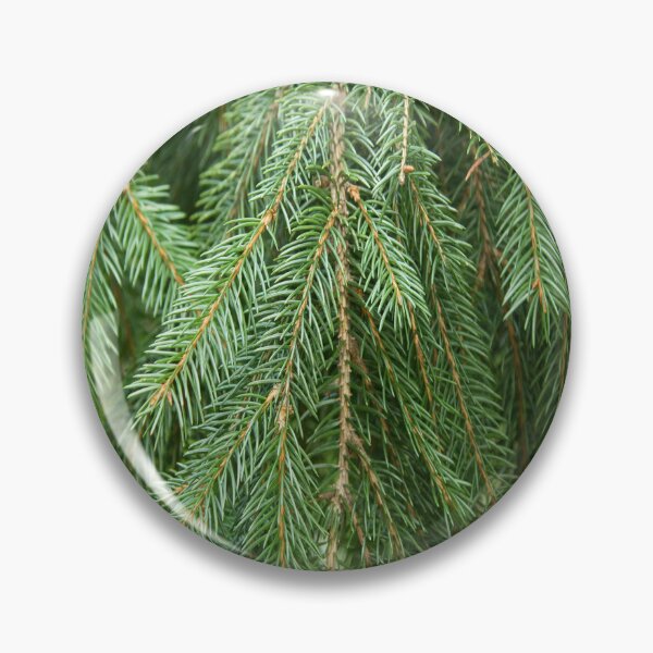 Item preview, Pine Tree Closeup designed and sold by daphsam.