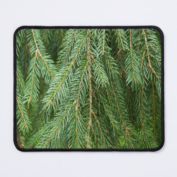 Item preview, Pine Tree Closeup designed and sold by daphsam.