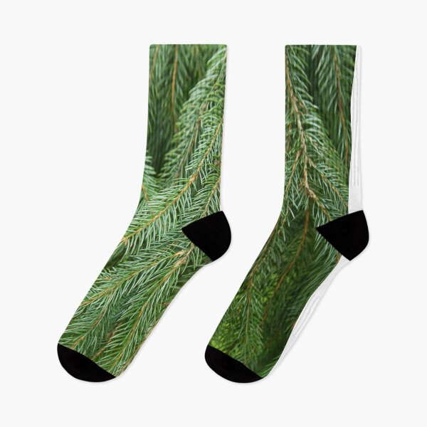 Item preview, Pine Tree Closeup designed and sold by daphsam.