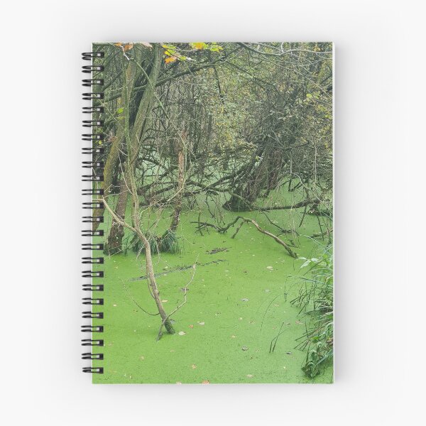 Item preview, A dutchy swamp designed and sold by HakanCx.