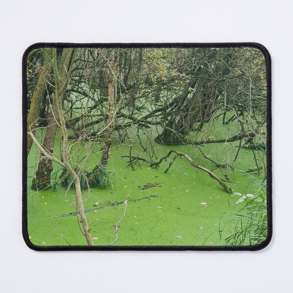 Item preview, A dutchy swamp designed and sold by HakanCx.