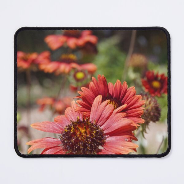 Item preview, Desert Flower designed and sold by Bloom-N-Blossom.