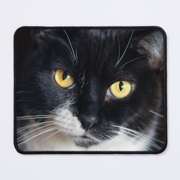Item preview, Cat-dorable designed and sold by ArtNoldstuff.