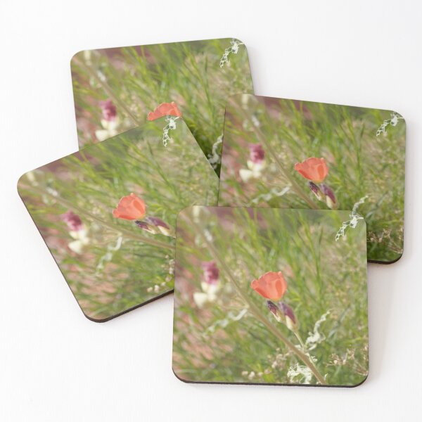 Item preview, small red desert flower designed and sold by Bloom-N-Blossom.