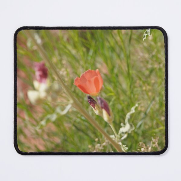 Item preview, small red desert flower designed and sold by Bloom-N-Blossom.