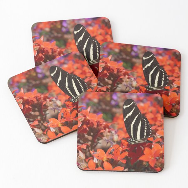 Item preview, zebra butterfly designed and sold by Bloom-N-Blossom.