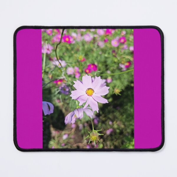 Item preview, Cosmo Flowers Blooming in Autumn designed and sold by SandraMimi.