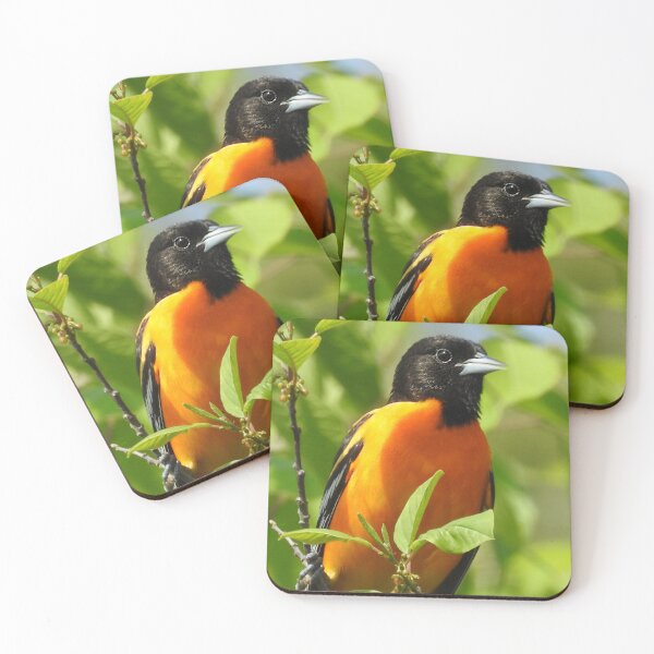 Item preview, Baltimore Oriole designed and sold by priesterjen.