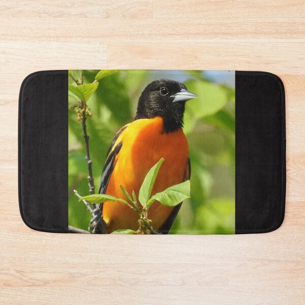 Item preview, Baltimore Oriole designed and sold by priesterjen.