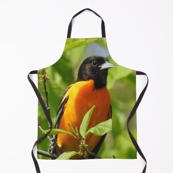Item preview, Baltimore Oriole designed and sold by priesterjen.
