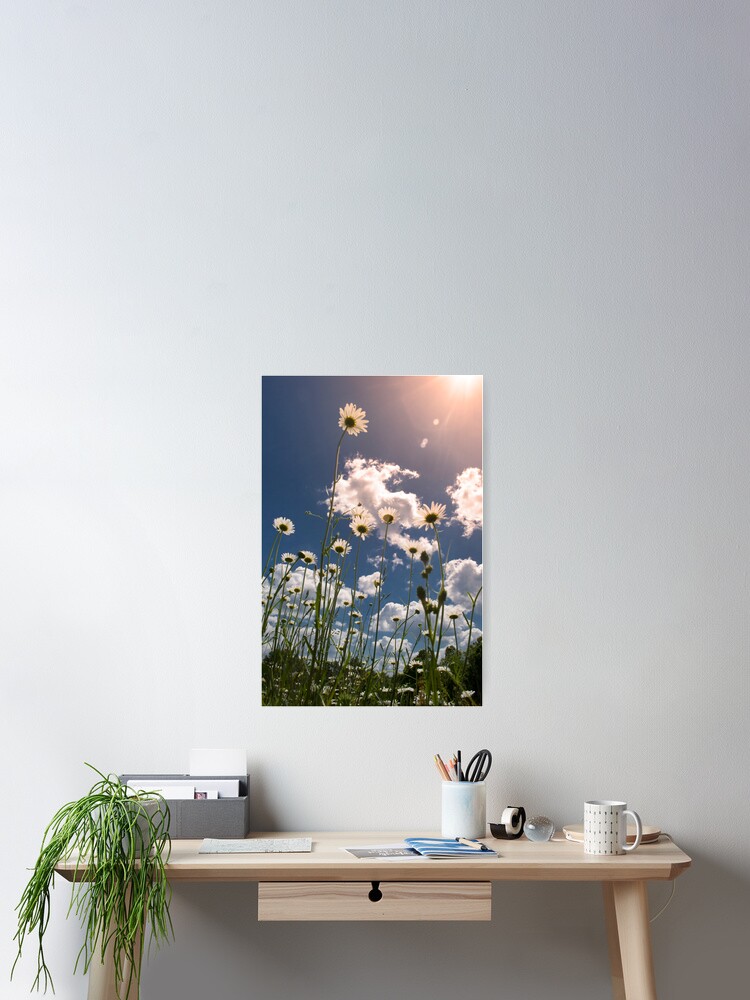 Thumbnail 2 of 3, Poster, Daisy Field designed and sold by believer9.
