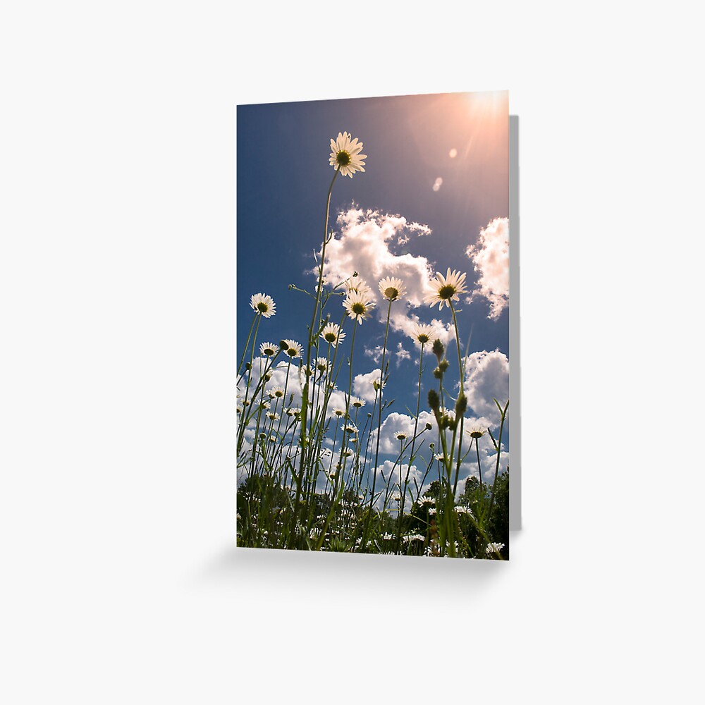 Item preview, Greeting Card designed and sold by believer9.