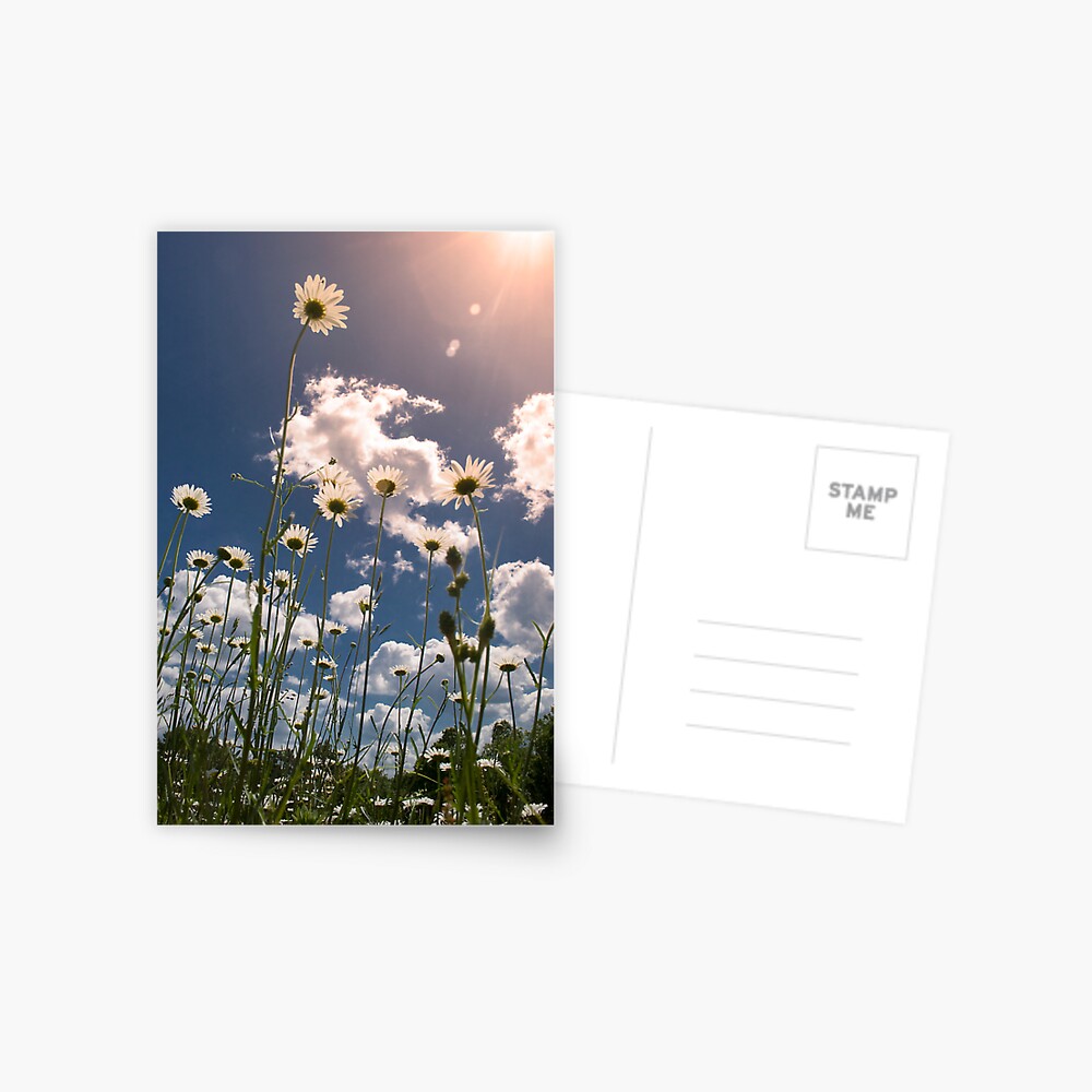 Item preview, Postcard designed and sold by believer9.