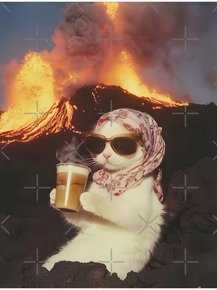 Demure cat with glasses Everything is on fire