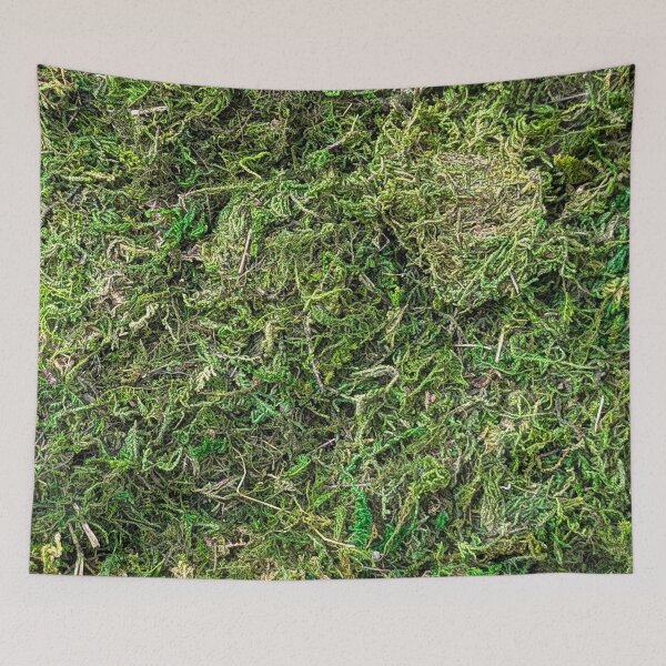 Item preview, Decorative Moss  designed and sold by SanArtcisco.