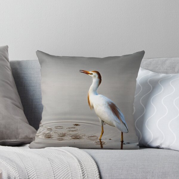 Item preview, Cattle Egret designed and sold by Viv Thompson Photography .