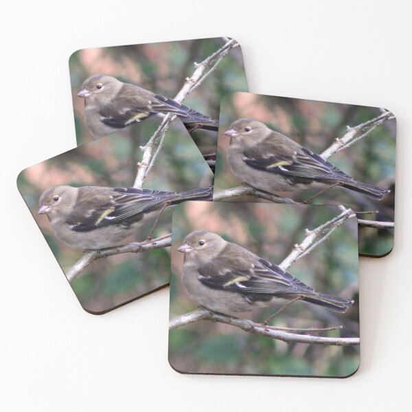 Item preview, chaffinch designed and sold by KathleenDawson.