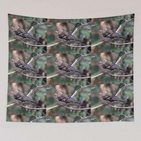 Item preview, chaffinch designed and sold by KathleenDawson.