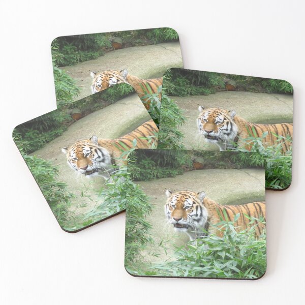 Item preview, 'I'm A Tiger' designed and sold by wiggyofipswich.
