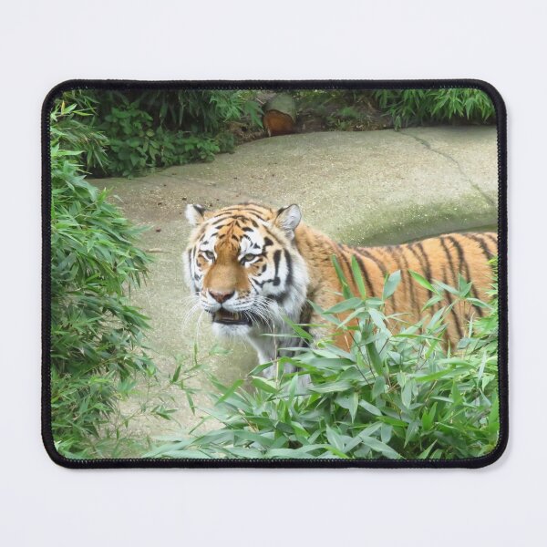 Item preview, 'I'm A Tiger' designed and sold by wiggyofipswich.