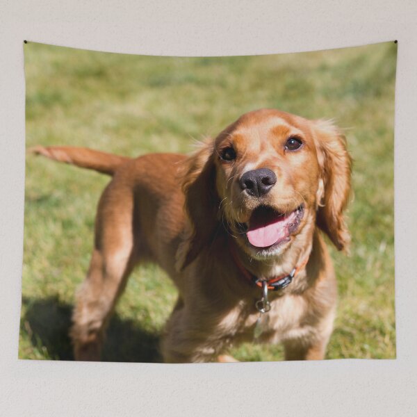 Item preview, Smiling Cocker Spaniel Puppy designed and sold by FOLK ART FUSION by heidiannemorris.