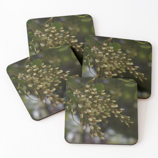 Item preview, Acacia blossom spring theme designed and sold by mariya-ivanova.
