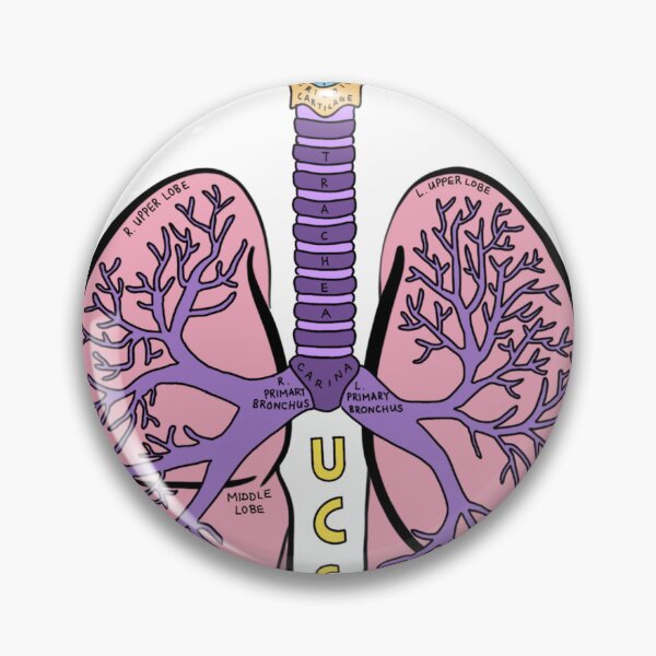 Item preview, Cartoon Anatomical Lung - UCSF designed and sold by RachelHuynh8.