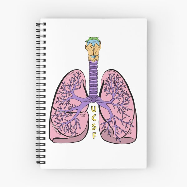 Item preview, Cartoon Anatomical Lung - UCSF designed and sold by RachelHuynh8.