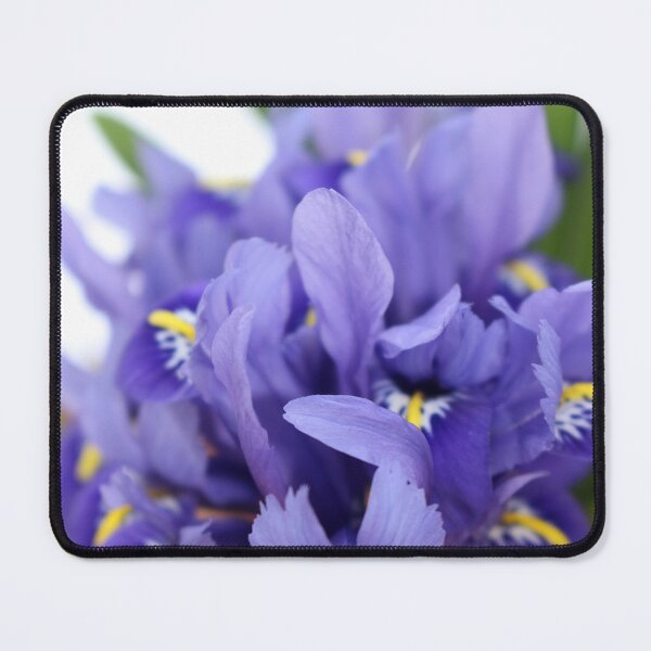 Item preview, Purple Miniature Iris designed and sold by pinkal.