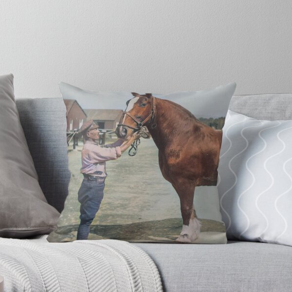 Item preview, Hospital veterinario durante la Primera Guerra Mundial designed and sold by 19th Century in Color.