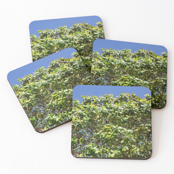 Item preview, cashew tree designed and sold by felipequeiroz.