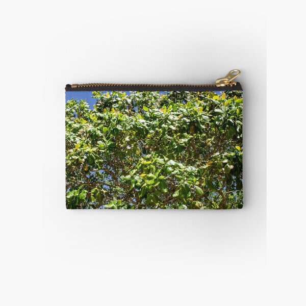 Item preview, cashew tree designed and sold by felipequeiroz.