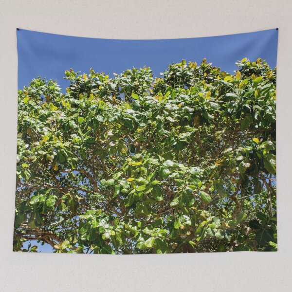 Item preview, cashew tree designed and sold by felipequeiroz.