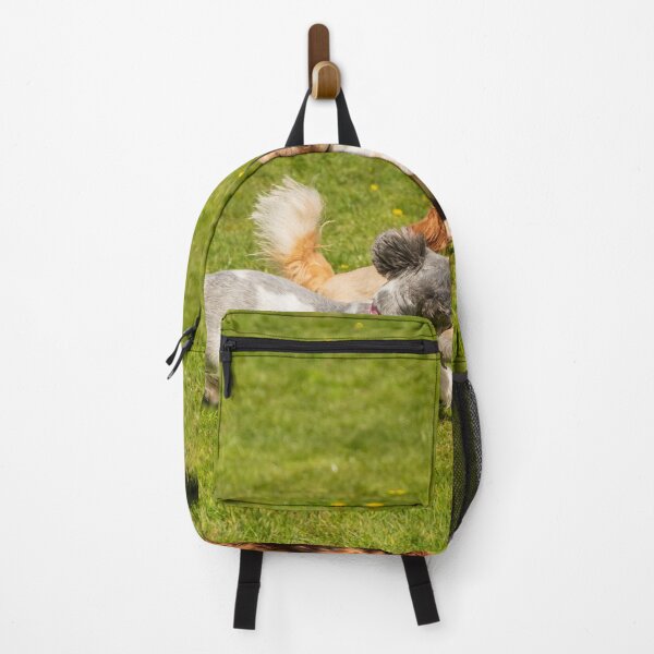 Item preview, Doggy Fun Day designed and sold by stevehuggett.
