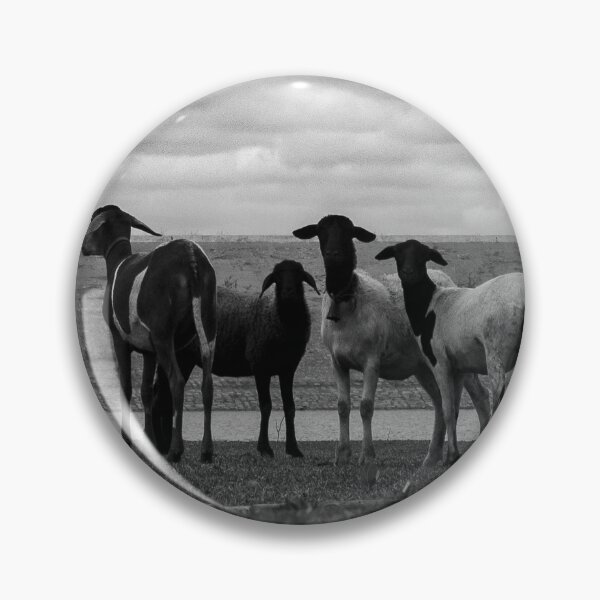 Item preview, Sheep in the field designed and sold by felipequeiroz.