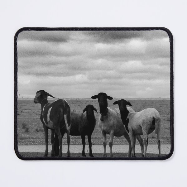 Item preview, Sheep in the field designed and sold by felipequeiroz.