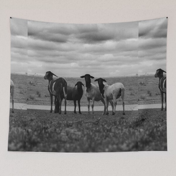 Item preview, Sheep in the field designed and sold by felipequeiroz.