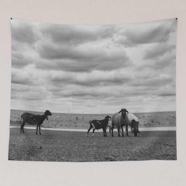 Item preview, Sheep in the field part 2  designed and sold by felipequeiroz.