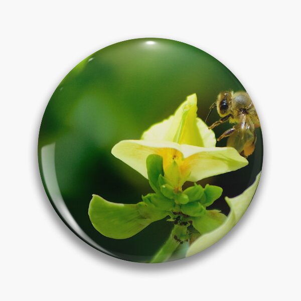 Item preview, Honey Bee And Lathyrus pratensis designed and sold by MercerImages.