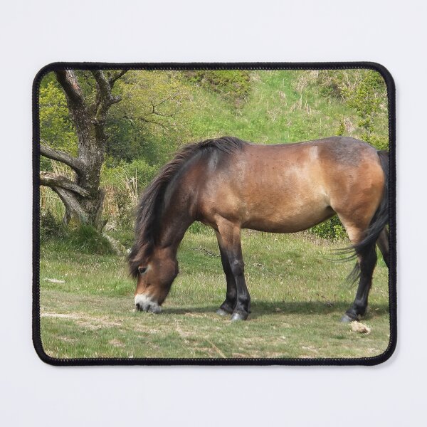 Item preview, Exmoor Pony designed and sold by pinkal.